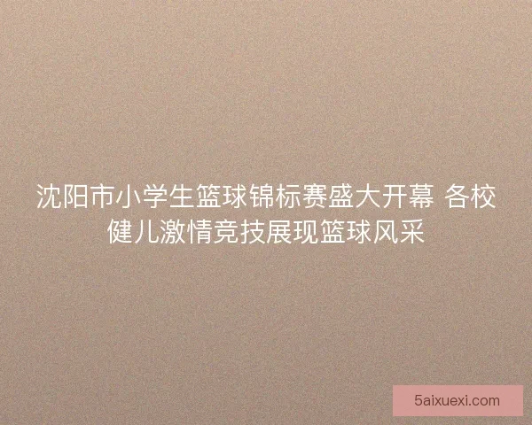 沈阳市小学生篮球锦标赛盛大开幕 各校健儿激情竞技展现篮球风采