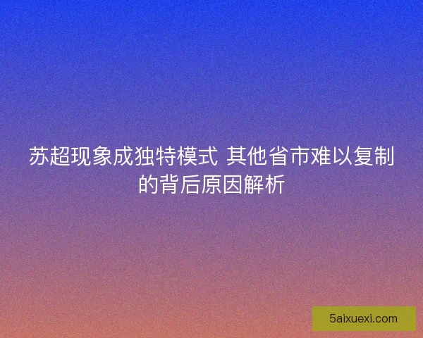 苏超现象成独特模式 其他省市难以复制的背后原因解析